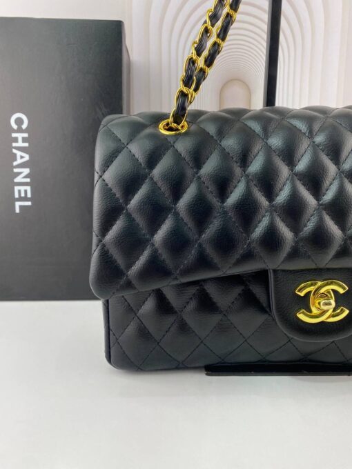 Chanel Classic Flap Bag Medora (2)