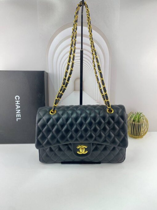 Chanel Classic Flap Bag Medora (3)