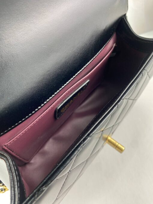 Chanel Mini Flap Bag (7)