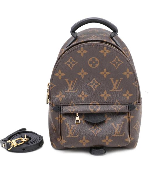 Louis Vuitton Palm Springs Backpack